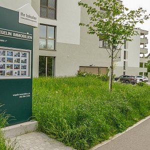 Aadorf | Rietstrasse | Wohnüberbauung Wasserfurri