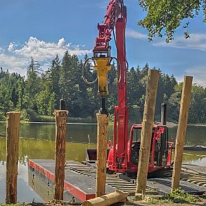 Erlen | Biessenhofer Weiher | Dammsanierung und Renaturierung