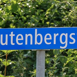 Felben | Gutenbergstrasse | Sanierung