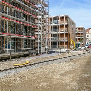 Frauenfeld | Lindenweg | Umgebungsgestaltung