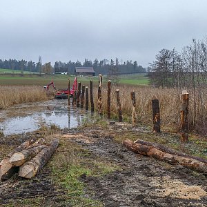 Hüttwilen | Nussbaumersee | Neuer Stegunterbau