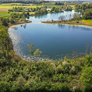 Nussbaumersee | Hosentr&auml;ger | Renaturierung Sumpfgebiet