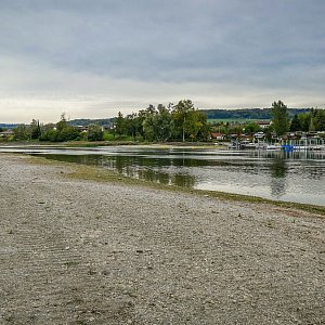 Stein am Rhein | Abtransport von abgestorbenen Quaggamuscheln