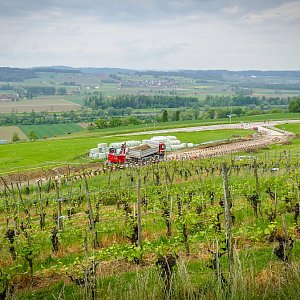 Uesslingen | Wilemerstrasse | Sanierung