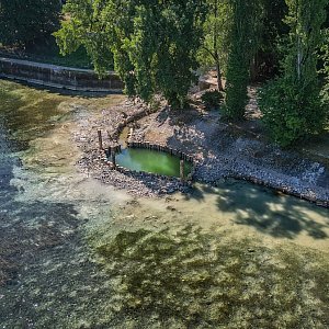 Wagenhausen | Kaltwasserrefugium | M&uuml;ndung M&uuml;libach