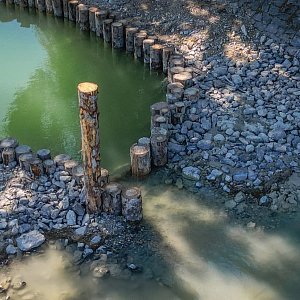 Wagenhausen | Kaltwasserrefugium | M&uuml;ndung M&uuml;libach
