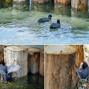 Trautes Heim - Gl&uuml;ck allein