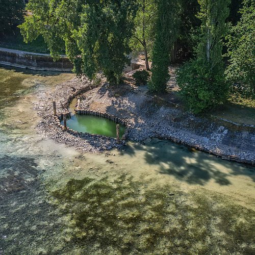Wagenhausen | Kaltwasserrefugium | Mündung Mülibach